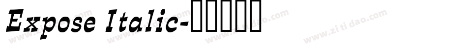 Expose Italic字体转换